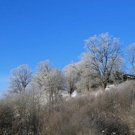 Belvedere Appart & Chalet - Ihr Zuhause Auf Zeit Am Edersee - Ihr Geschenk Die Gaestecard Grimmheimat Вальдек Экстерьер фото
