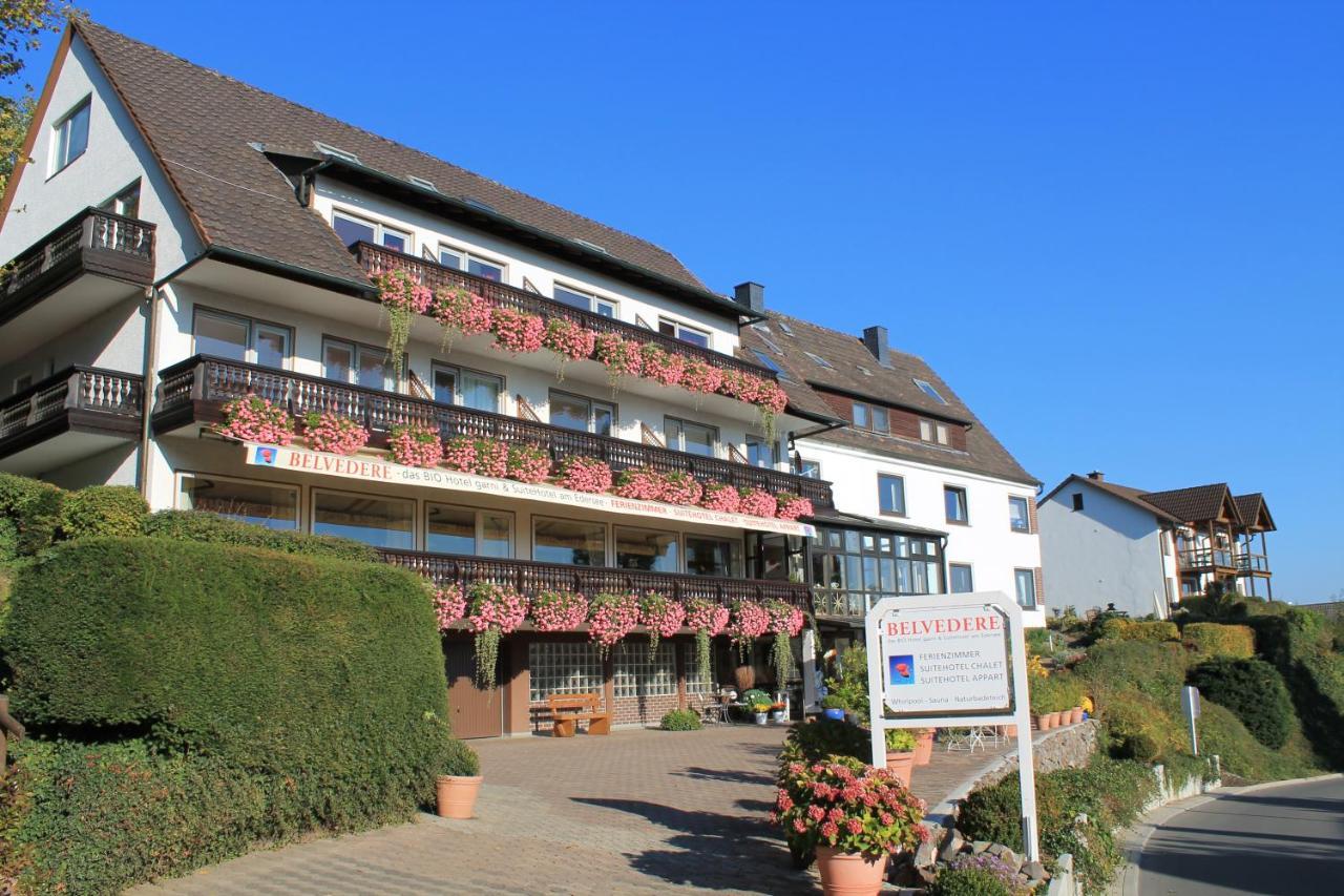 Belvedere Appart & Chalet - Ihr Zuhause Auf Zeit Am Edersee - Ihr Geschenk Die Gaestecard Grimmheimat Вальдек Экстерьер фото